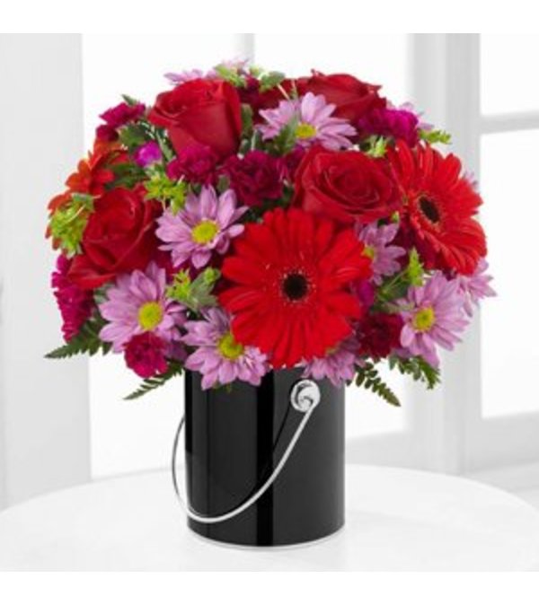 Color your day with intrigue