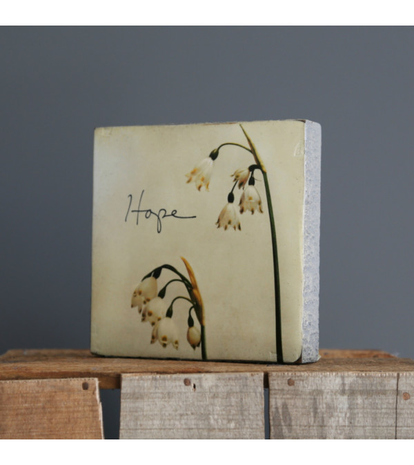 Hope Block I