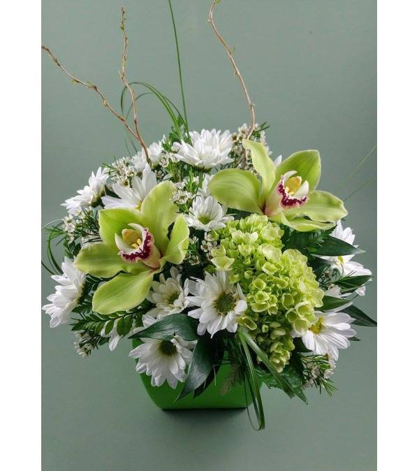 Subtle and Delicate