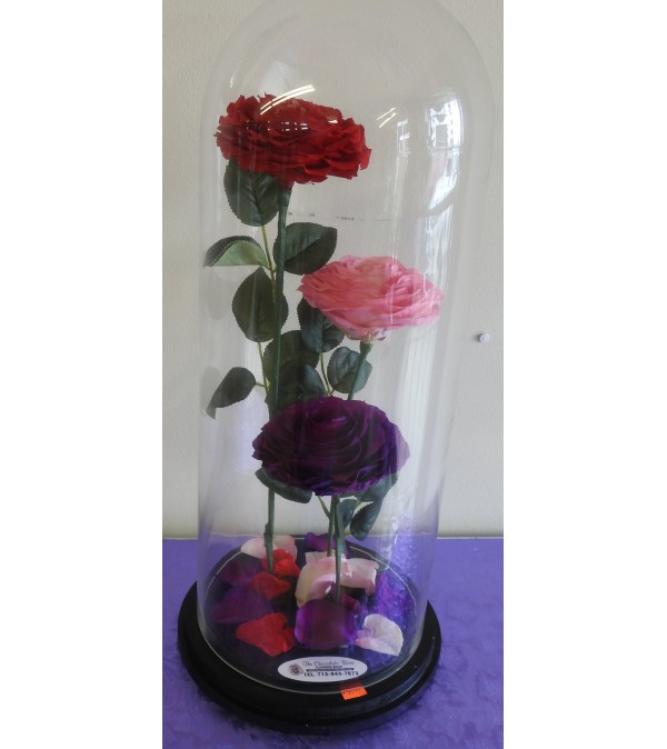 ENCHANTED ROSE MIX TRIO