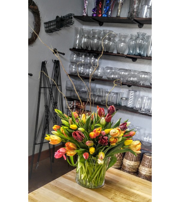Tulips Gallore