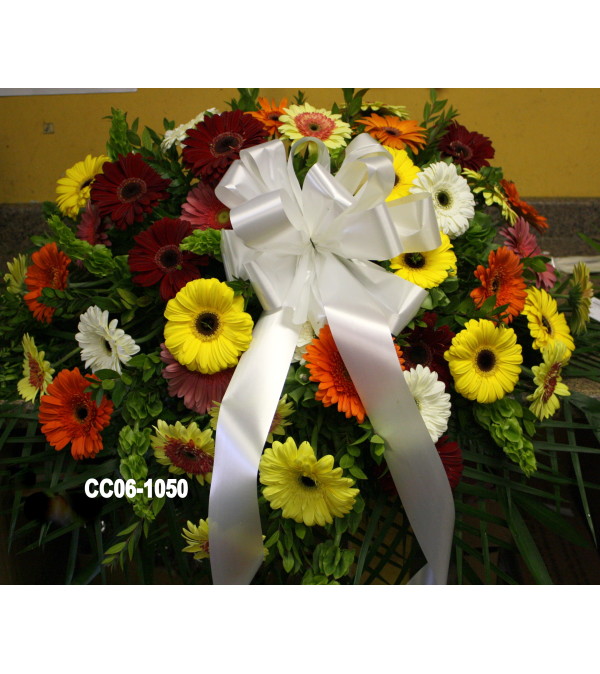 CC06-1050