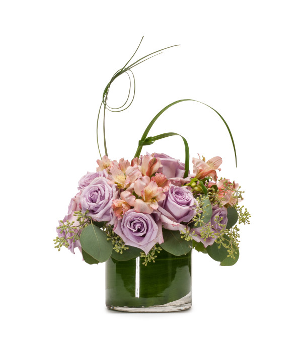 Lavender Melody