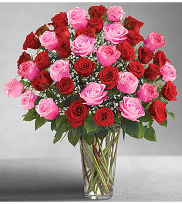 Long Stem Pink & Red Roses