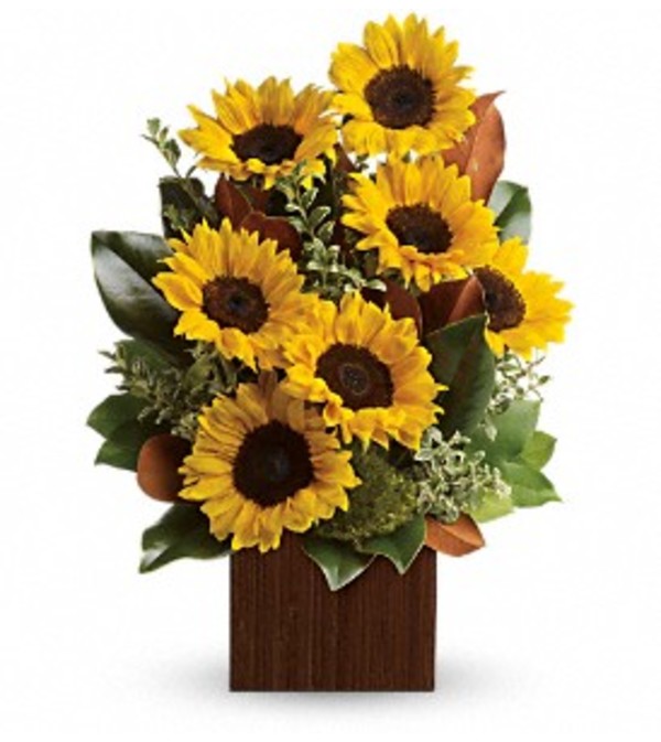 Golden Sunflowers