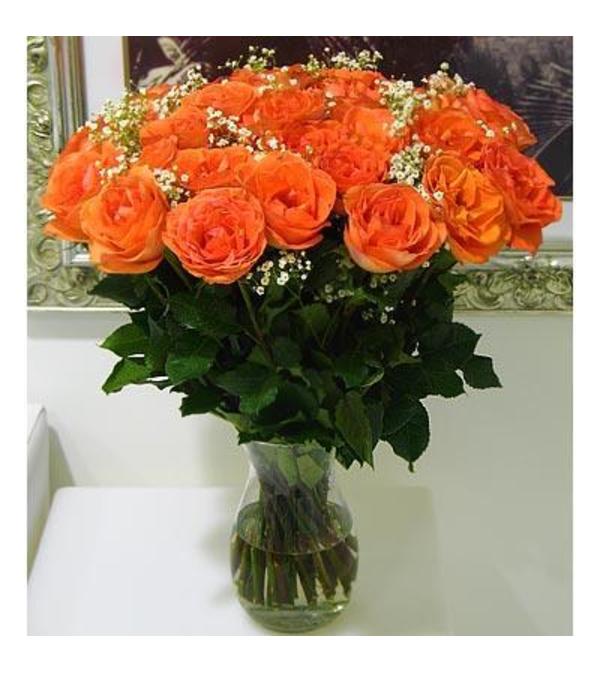 Orange Dozen
