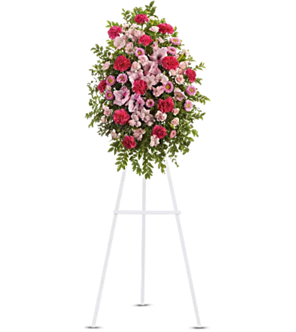 Teleflora - Pink Tribute Spray