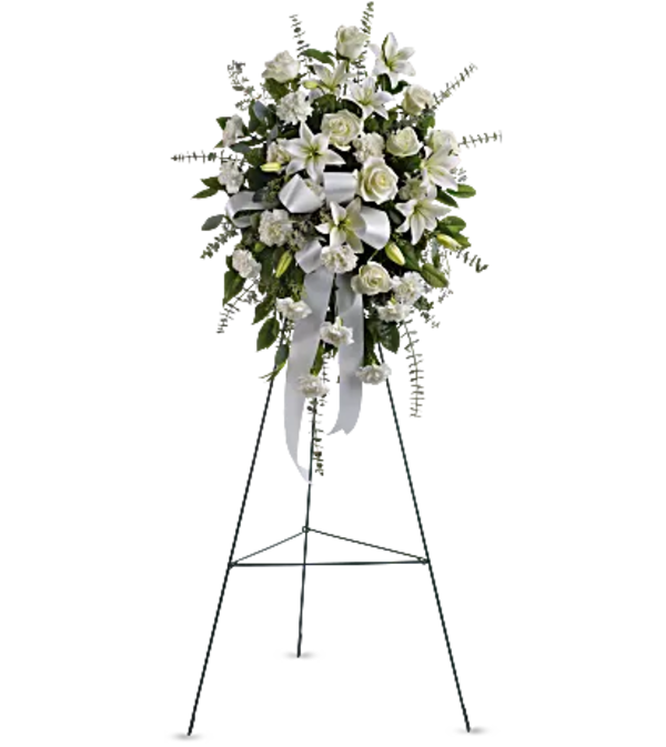 Teleflora - Sentiments of Serenity Spray