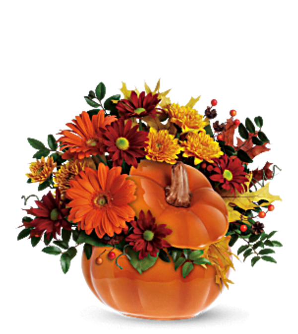 COUNTRY PUMPKIN
