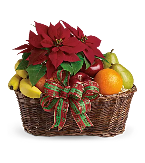 Fruit and Poinsettia Basket