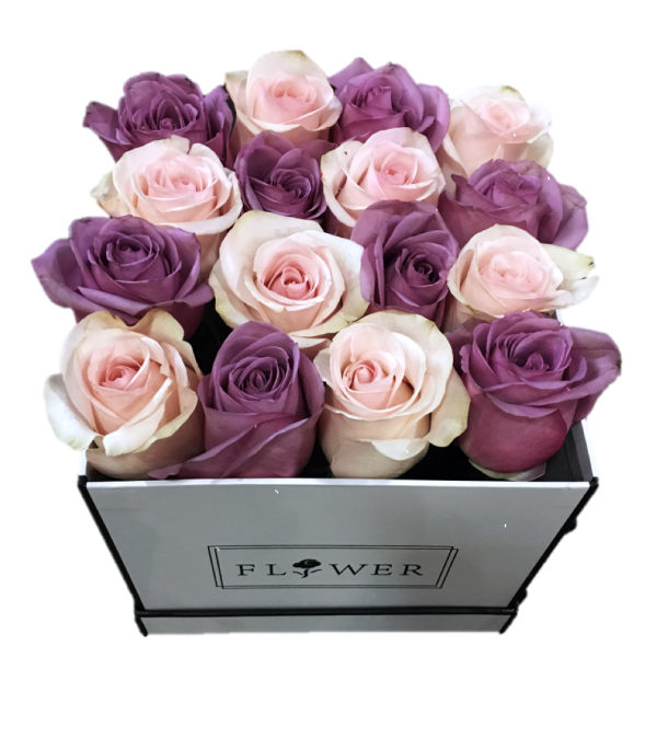 Pink and Purple Haven