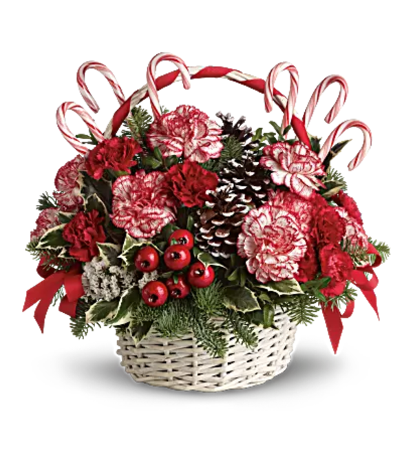Candy Cane Christmas
