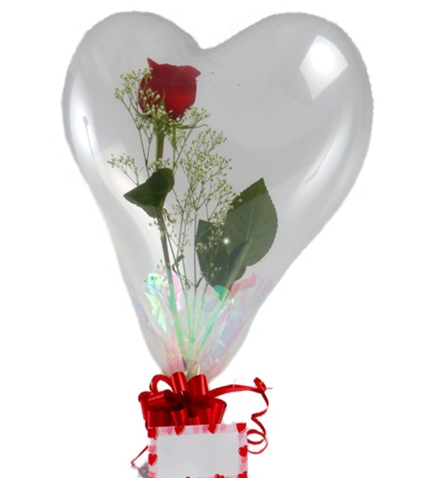 ROSE BALLOON