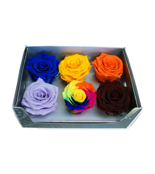 Choose your Forever Rose
