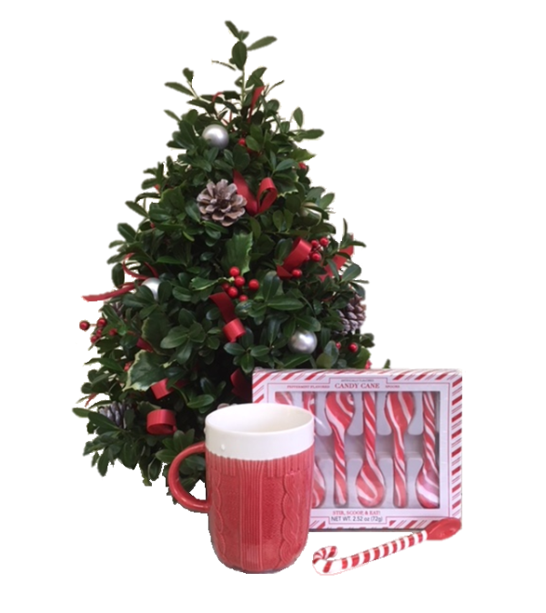 Celebration Flower Tree Gift Set