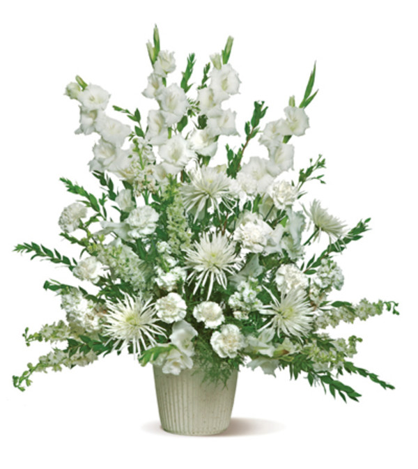 white tribute spray