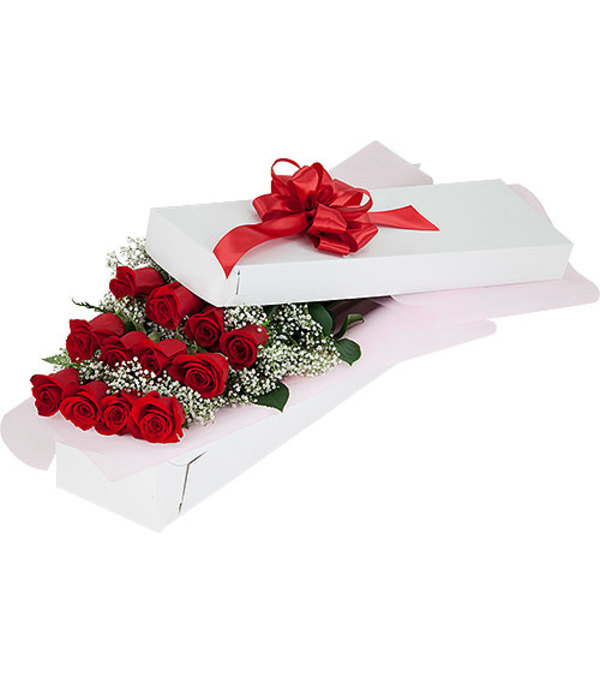One Dozen Red Rose