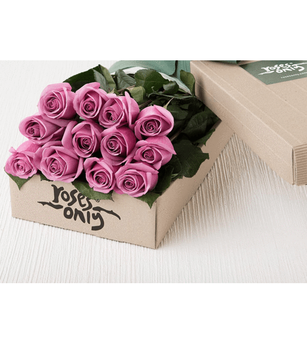 One Dozen Purple Roses