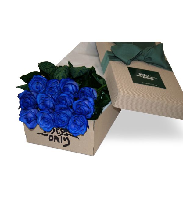 One Dozen Blue Roses