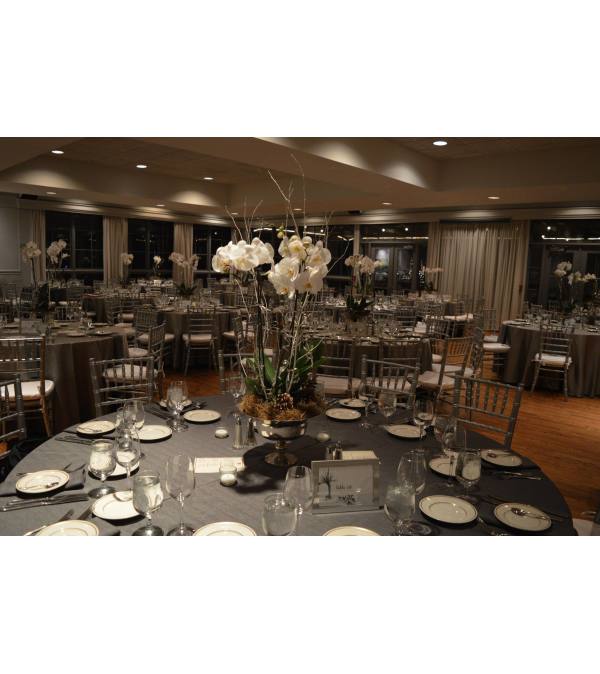 ORCHID PLANT CENTERPIECES