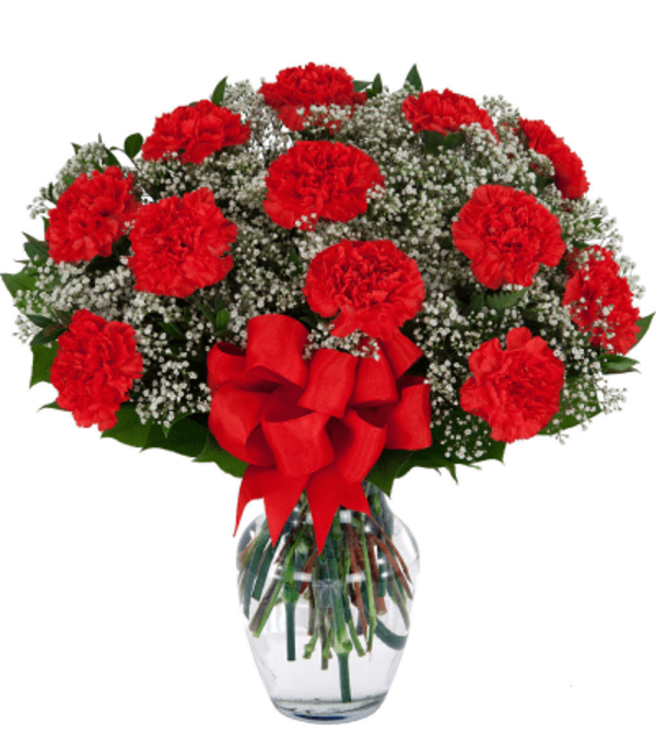 SPECIAL! 40% OFF 12 Red Carnations Arranged