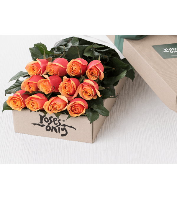 One Dozen Orange Roses