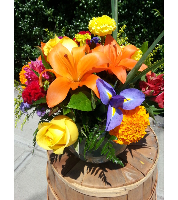 Lillie's in Bloom