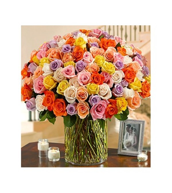 100 PREMIUM LONG STEM MULTICOLORED ROSES