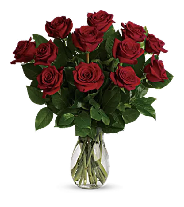 Classic Rose Special