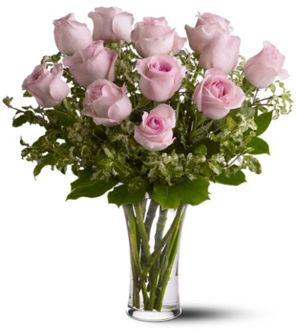 Pretty pink roses