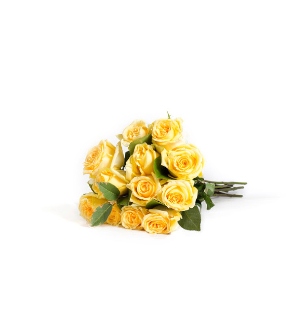 12 Wrapped Classic Yellow Roses