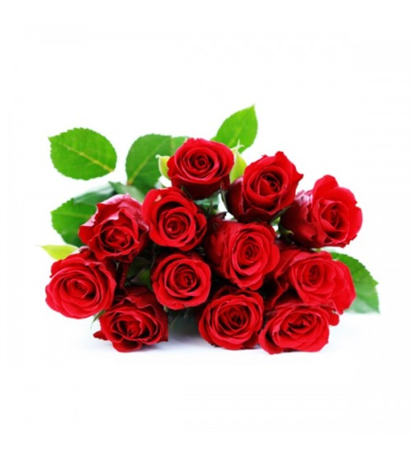 12 Wrapped Classic Red Roses