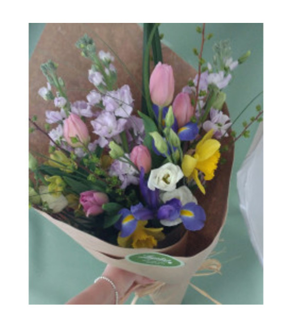 Spring Blooms