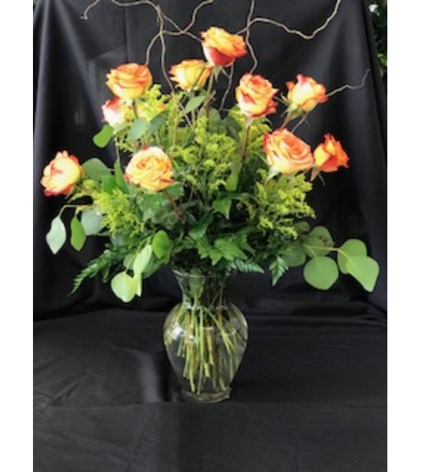 12 Circus roses