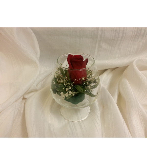 Single Red Rose in bowl