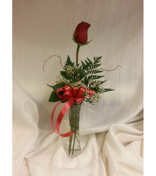 Single Stem Rose in a Vase
