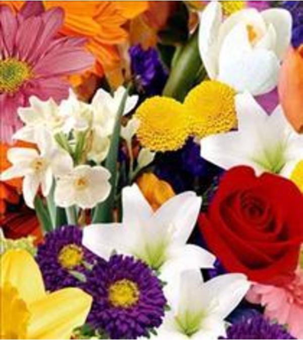 Mixed cut bouquet- no vase