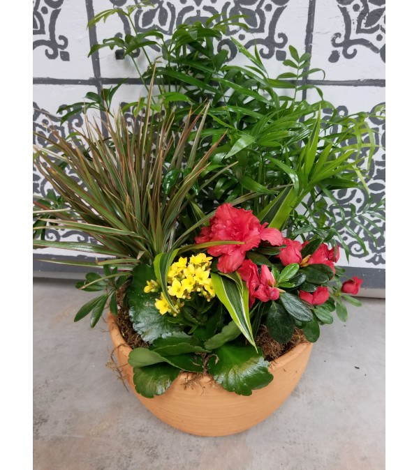 Clay plant garden