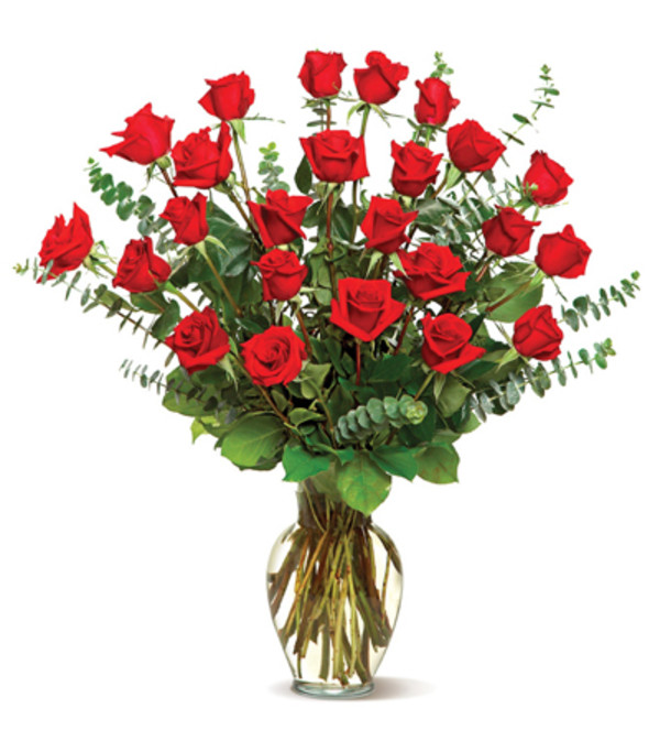 extra long rose delight