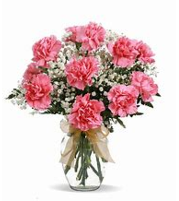Dozen Carnations Vased