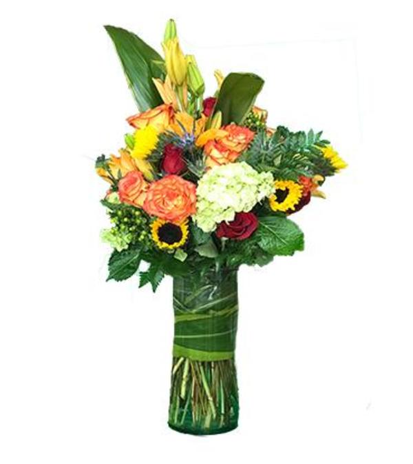 Choice Seasonal Deluxe