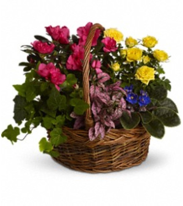 Blooming Garden Basket