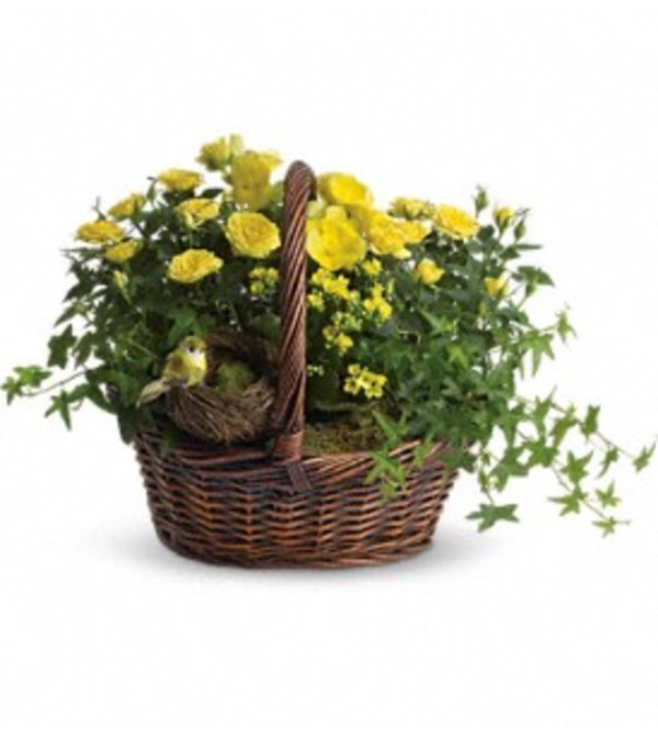 Springtime Garden Basket
