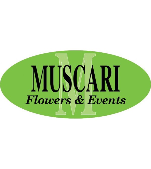 Designer's Specialty