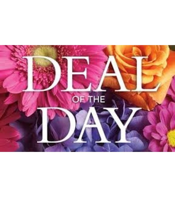 Springtime Deal of the Day
