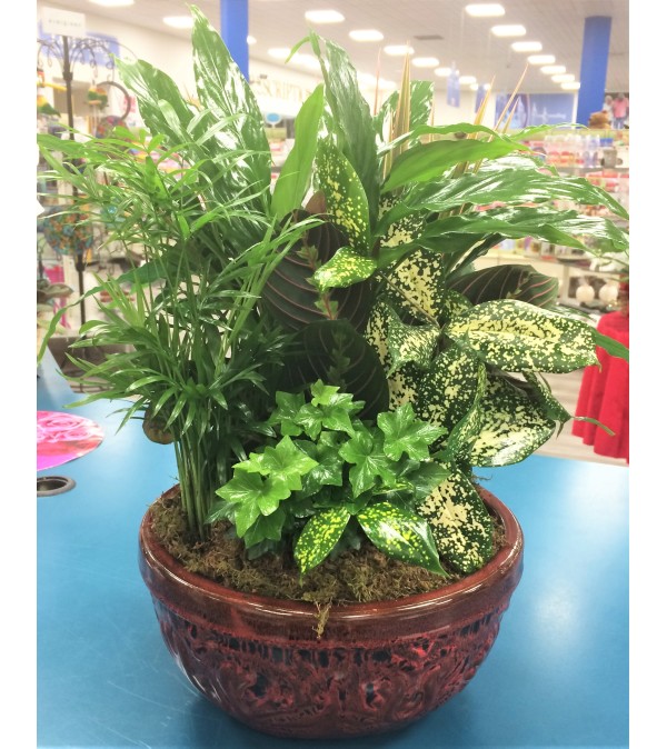 Ceramic Dish Garden