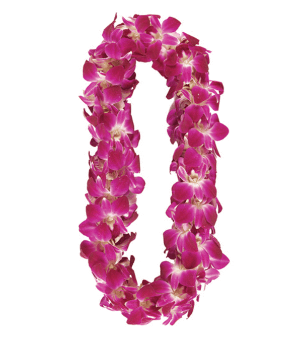 Premium Bombay (purple & white) Lei