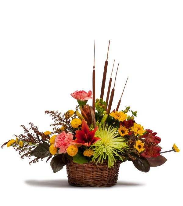 Harvest Basket