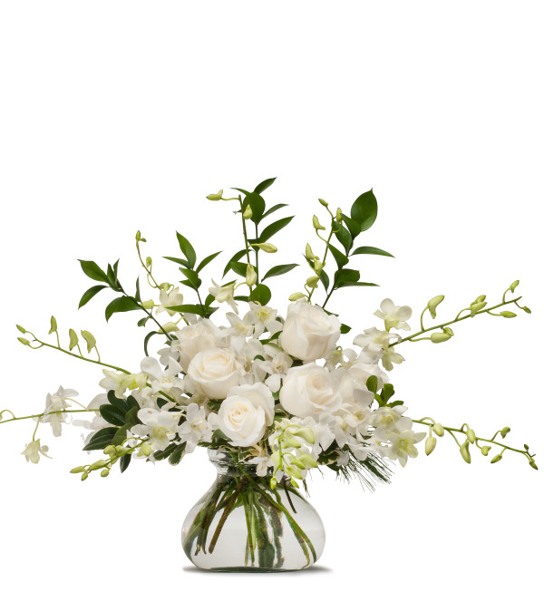 White Splendor