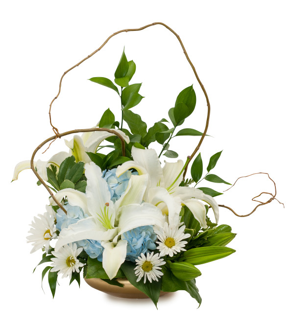 Lilies in Blue
